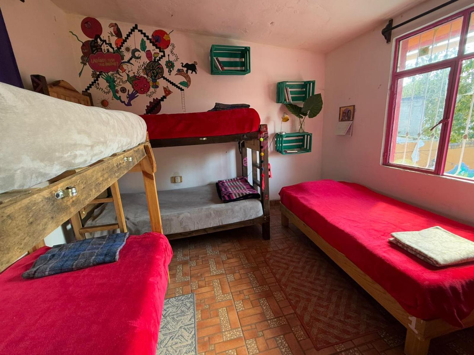 Historika Hostel Cultural San Cristobal de las Casas Bagian luar foto